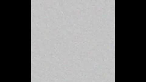 _tammarra_ online show from October 3, 2025, 6:38 pm