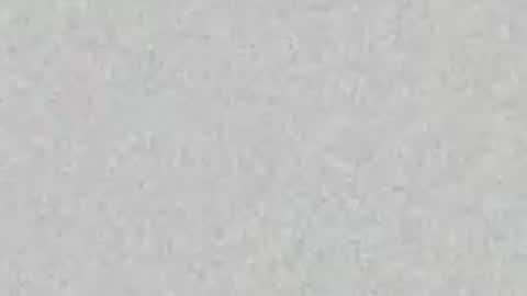 _tammarra_ online show from June 20, 2026, 8:11 pm