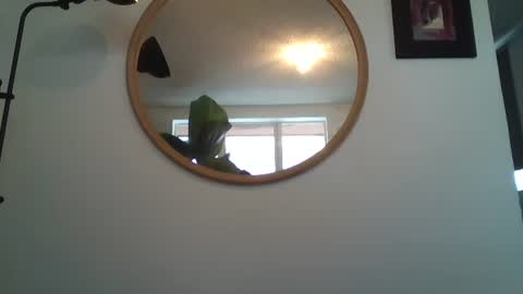 _tutti_frutti_ online show from July 12, 2026, 7:16 pm