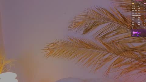 Snapshot of a1ly chatting on December 15, 2024, 4:04 pm Ally online show from December 15, 2024, 4:04 pm