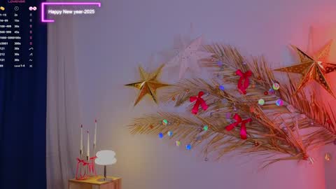 Snapshot of a1ly chatting on December 31, 2024, 8:23 pm Ally online show from December 31, 2024, 8:23 pm