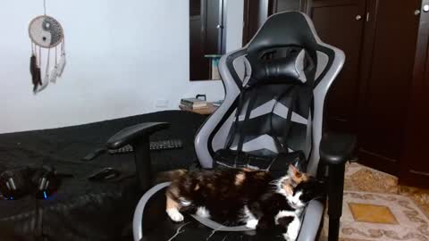 aarman online show from January 17, 2025, 4:06 am