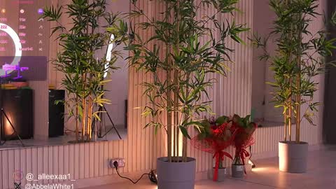 Snapshot of abbela_white chatting on February 3, 2025, 9:52 am Alexa online show from February 3, 2025, 9:52 am