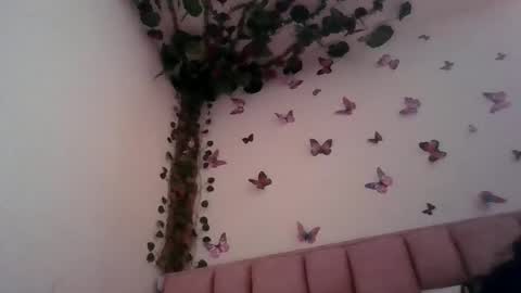 Snapshot of abby_moss_2 chatting on June 12, 2026, 12:48 pm abby_moss_2 online show from June 12, 2026, 12:48 pm