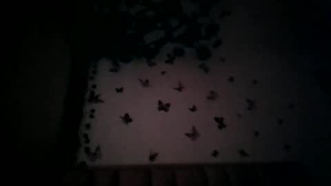 Snapshot of abby_moss_2 chatting on July 17, 2026, 12:45 pm abby_moss_2 online show from July 17, 2026, 12:45 pm