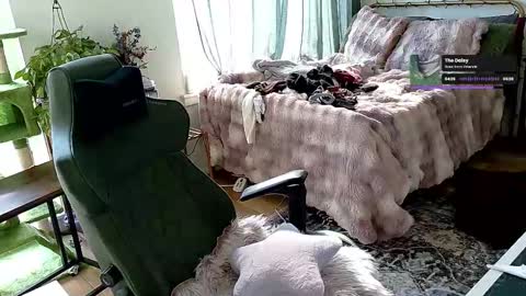 Snapshot of adalinarae chatting on February 10, 2025, 4:25 pm Adalina Rae online show from February 10, 2025, 4:25 pm