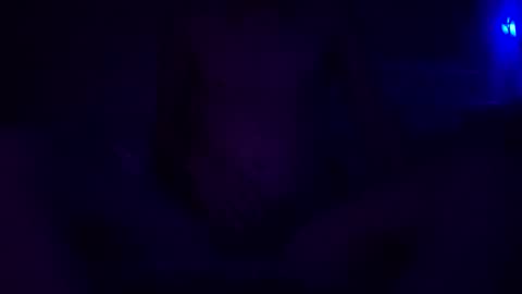 Snapshot of adamllamas chatting on December 30, 2024, 5:48 am adamllamas online show from December 30, 2024, 5:48 am