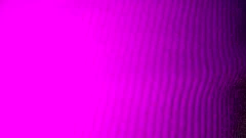 Snapshot of adamllamas chatting on September 15, 2025, 4:56 am adamllamas online show from September 15, 2025, 4:56 am