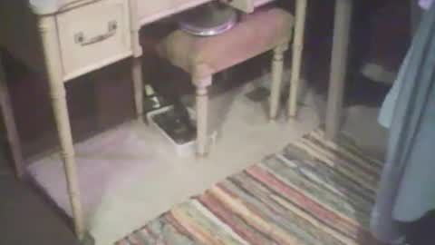 Snapshot of adamsny chatting on April 21, 2026, 4:41 am adamsny online show from April 21, 2026, 4:41 am
