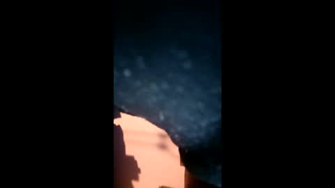 adarkvid420tj online show from January 15, 2026, 5:01 am