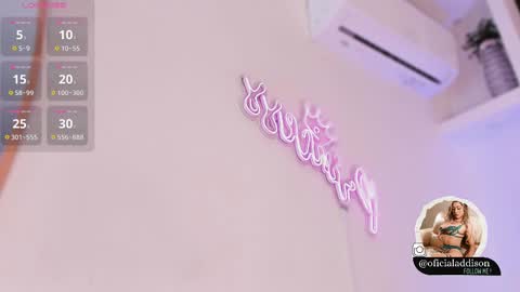 Snapshot of addison_baker chatting on February 18, 2025, 10:25 pm A D D I S O N online show from February 18, 2025, 10:25 pm