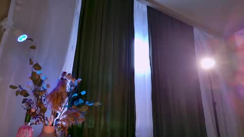 Adel online show from June 3, 2026, 2:08 pm
