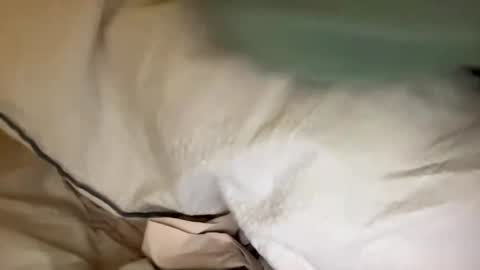 Snapshot of adriiii7878 chatting on January 24, 2025, 8:11 pm adriiiii online show from January 24, 2025, 8:11 pm