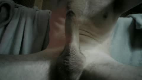 Snapshot of adryan_gym chatting on December 4, 2024, 12:19 am ADRY SKY online show from December 4, 2024, 12:19 am