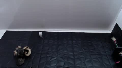  Miss Agata  online show from January 7, 2026, 7:38 pm