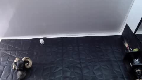  Miss Agata  online show from April 30, 2026, 8:57 pm