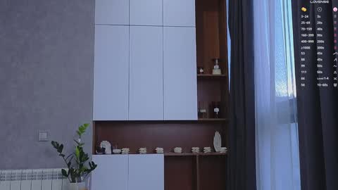 Snapshot of agnessi_ chatting on January 15, 2025, 6:33 am agnessi_ online show from January 15, 2025, 6:33 am