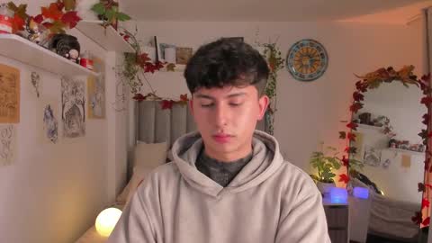 Snapshot of aidan_hale chatting on November 9, 2025, 11:47 pm A H online show from November 9, 2025, 11:47 pm