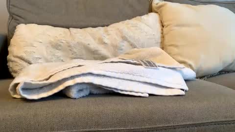 canadianboy92 online show from November 6, 2025, 4:52 pm