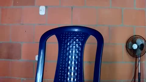 aisha koswell3 online show from January 12, 2026, 2:11 pm