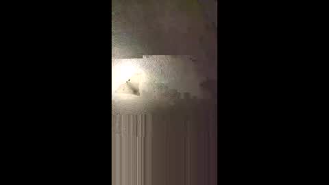 aj297914 online show from February 8, 2026, 5:22 am