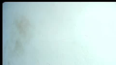 alahia66 online show from April 21, 2026, 2:56 pm