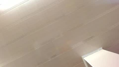 Snapshot of alana_madison chatting on December 28, 2024, 11:09 am Maeve online show from December 28, 2024, 11:09 am