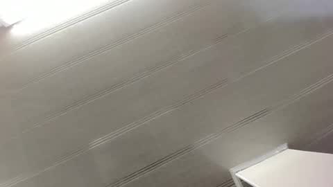 Snapshot of alana_madison chatting on December 29, 2024, 10:45 am Maeve online show from December 29, 2024, 10:45 am