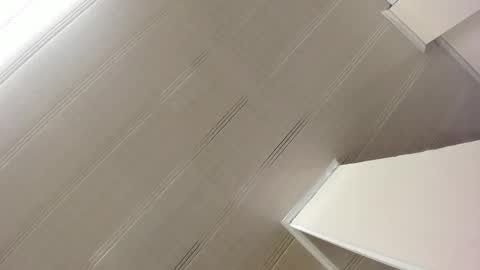 Snapshot of alana_madison chatting on January 7, 2025, 10:54 am Maeve online show from January 7, 2025, 10:54 am