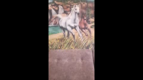 albina online show from February 16, 2026, 7:48 am