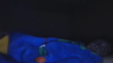 Snapshot of aledewalt chatting on December 4, 2024, 12:03 pm call me on skp alexdewalt online show from December 4, 2024, 12:03 pm