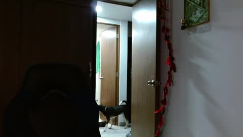 Snapshot of alejo_hot23 chatting on June 6, 2026, 6:45 pm David online show from June 6, 2026, 6:45 pm