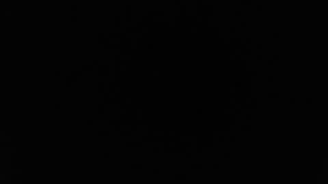 Alex online show from February 26, 2026, 1:04 am