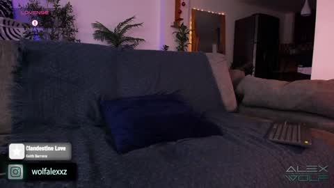 Alex Wolf online show from January 16, 2025, 2:41 am