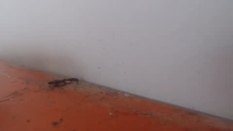 Snapshot of alexamdergal chatting on November 24, 2025, 12:21 am Alexamdergal online show from November 24, 2025, 12:21 am