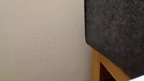 Snapshot of alexanderhub01 chatting on October 4, 2025, 1:53 pm alexanderhub01 online show from October 4, 2025, 1:53 pm