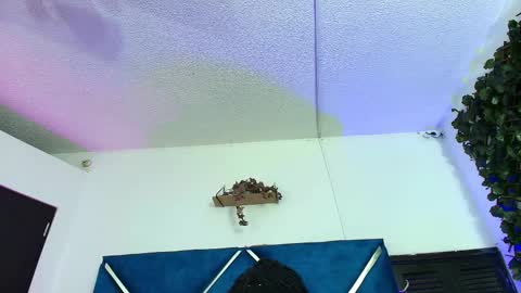 Alexa online show from February 24, 2026, 1:47 am