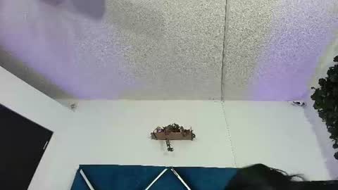 Alexa online show from June 13, 2026, 12:19 am