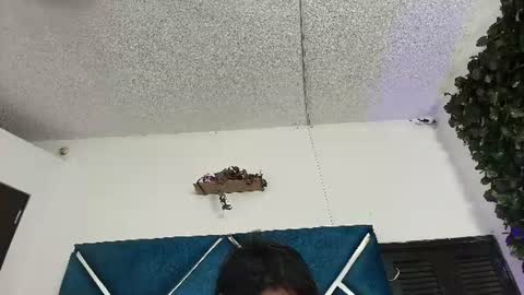 Alexa online show from June 13, 2026, 11:24 pm