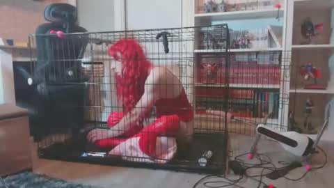 alexas_owned_bitch online show from May 3, 2026, 8:04 pm
