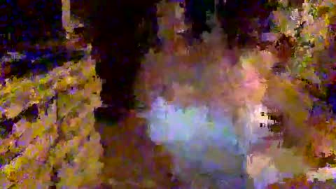 Alexa Sins online show from May 24, 2026, 2:16 am