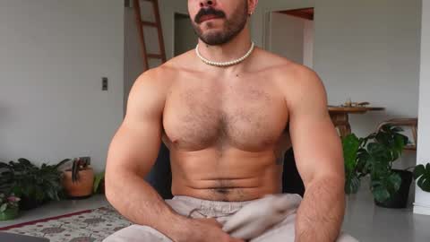 Snapshot of alexdimartino chatting on December 11, 2024, 5:15 pm Alex Dimartino online show from December 11, 2024, 5:15 pm