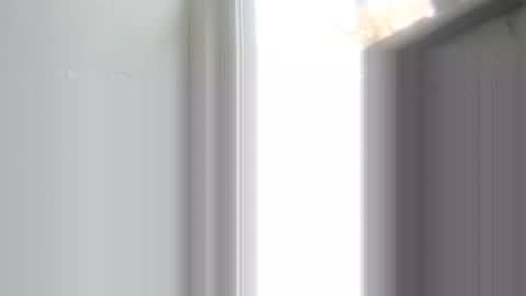 JamesB online show from November 9, 2025, 1:53 pm