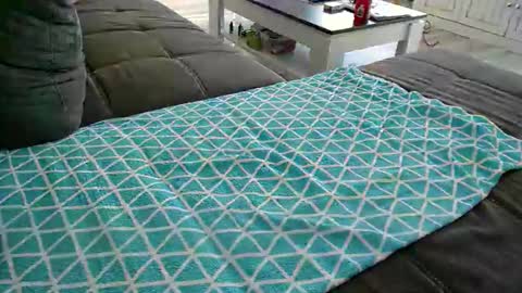 Snapshot of alexfresh84 chatting on December 24, 2024, 11:49 am Doggystyle online show from December 24, 2024, 11:49 am