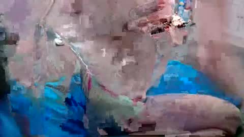 Snapshot of alexfresh84 chatting on December 25, 2024, 6:52 pm Doggystyle online show from December 25, 2024, 6:52 pm