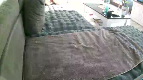 Snapshot of alexfresh84 chatting on January 10, 2026, 10:17 am Doggystyle online show from January 10, 2026, 10:17 am