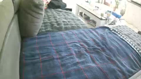 Snapshot of alexfresh84 chatting on May 2, 2026, 8:41 am Doggystyle online show from May 2, 2026, 8:41 am