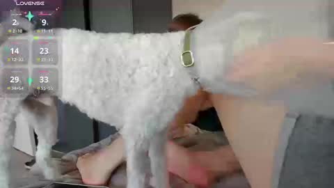 Snapshot of alexiacortez chatting on November 20, 2025, 3:23 pm Alexia online show from November 20, 2025, 3:23 pm