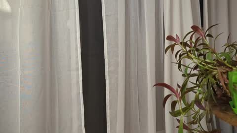 Snapshot of ali500886 chatting on March 30, 2026, 5:52 am ali500886 online show from March 30, 2026, 5:52 am