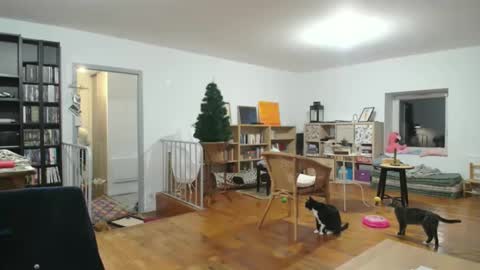 Snapshot of alice8363 chatting on December 6, 2024, 5:53 am Alice online show from December 6, 2024, 5:53 am